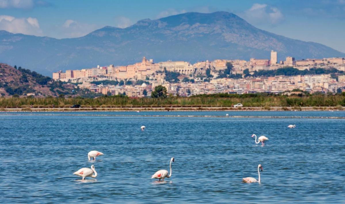 Апартаменти Sardegna Relax Куарту-Сант'Елена Екстер'єр фото